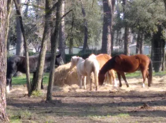 Mobil Les Bains Campsite *